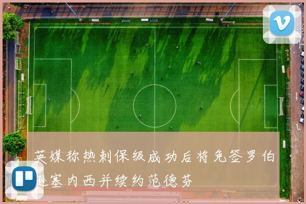 英媒称热刺保级成功后将免签罗伯逊塞内西并续约范德芬