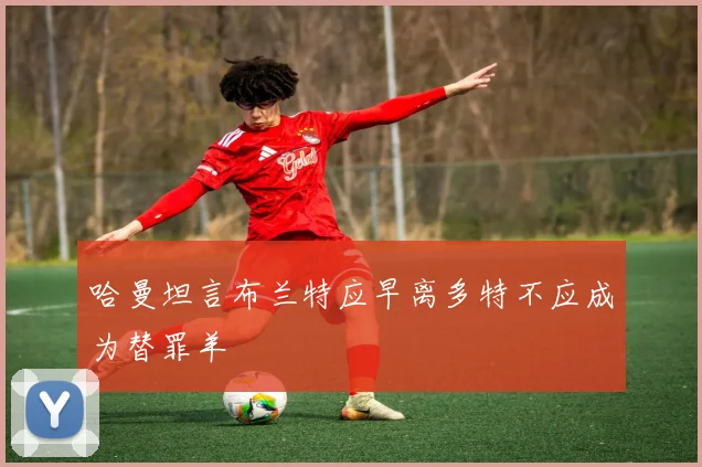 哈曼坦言布兰特应早离多特不应成为替罪羊